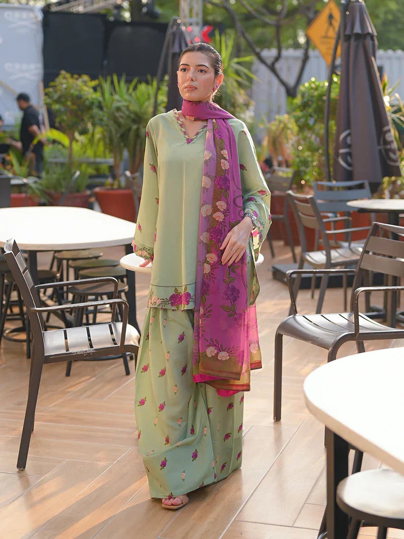 Celadon Printed 3pc