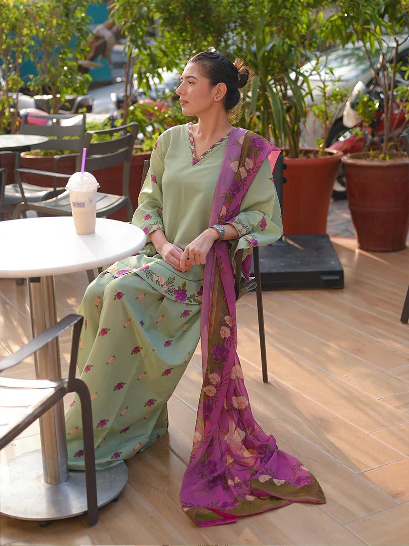 Celadon Printed 3pc